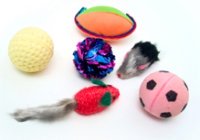 Cat toys