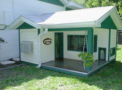 House Plans on Cat House Decor