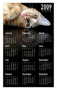 cat calendar