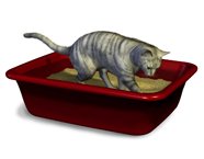 cat using litterbox