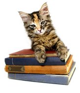 Cat Book