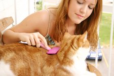 Woman Grooming Cat