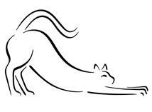 drawing of cat stretching