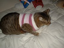 mia wearing a sweater