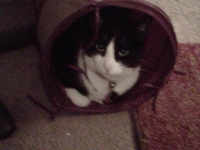 He's in his tunnel